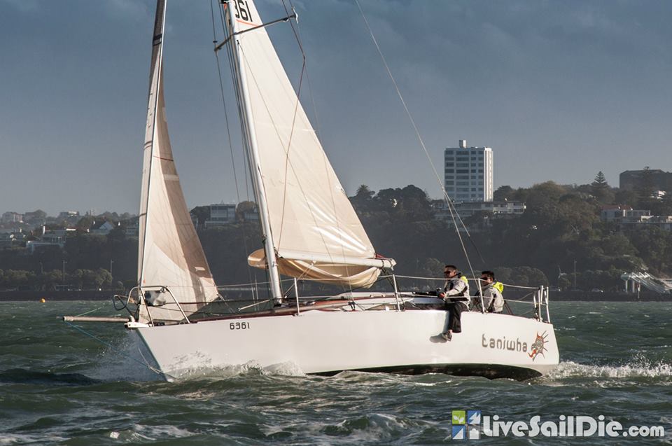 Lidgard Sailmakers - Lidgard_Sails_taniwha.jpg